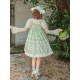 Twilight Crush Grape Pastoral Song Skirt Salopette JSKs(Reservation/3 Colours/Full Payment Without Shipping)